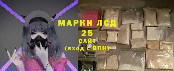 стаф Ладушкин