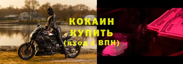 стаф Ладушкин