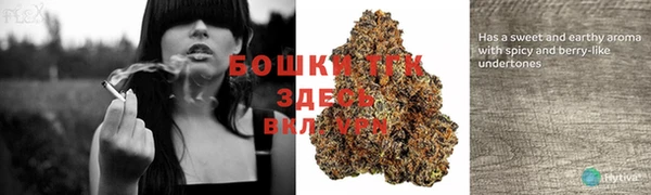 стаф Ладушкин