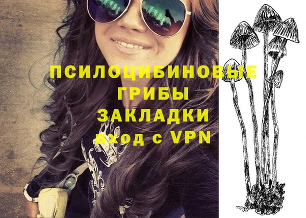 стаф Ладушкин