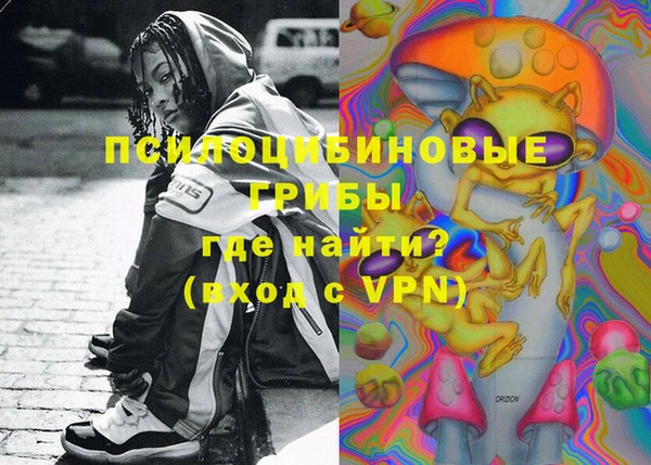 стаф Ладушкин