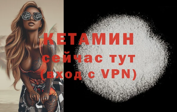 стаф Ладушкин