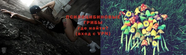 стаф Ладушкин