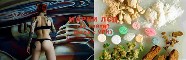 стаф Ладушкин