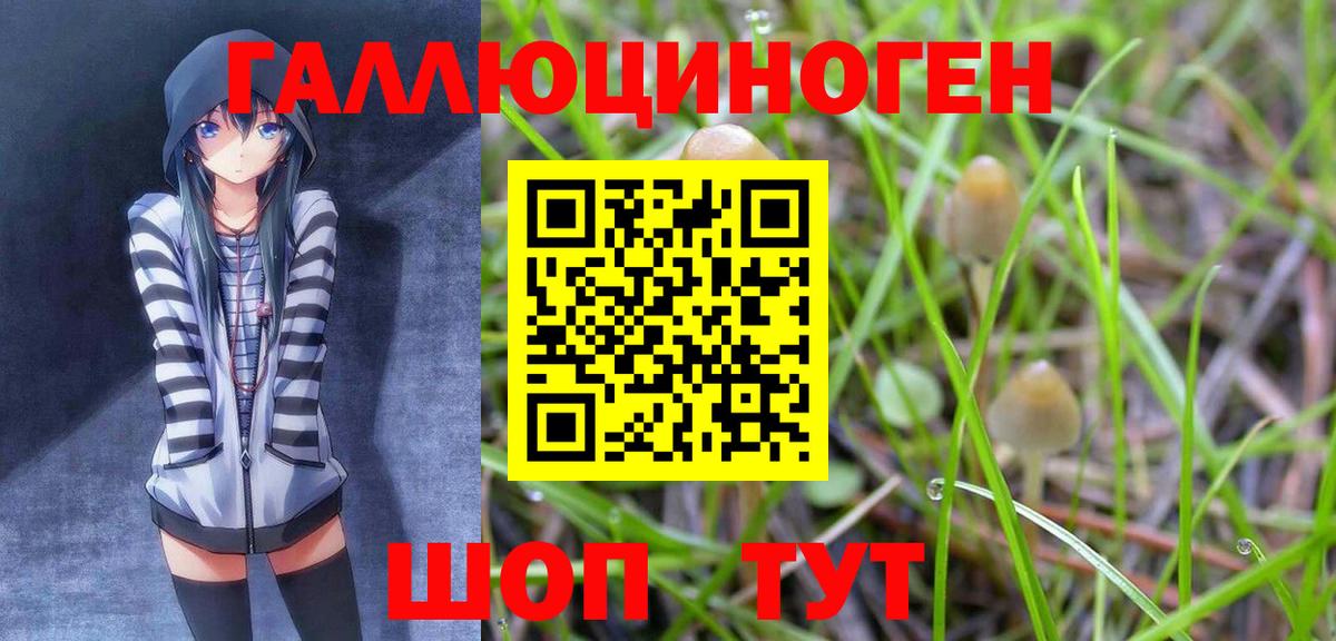 Галлюциногенные грибы ЛСД  наркошоп  Иваново  Галлюциногенные грибы Magic Shrooms 