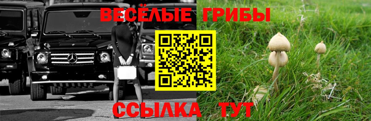 где купить наркоту  Вход с VPN  Иваново  Галлюциногенные грибы Psilocybine cubensis 